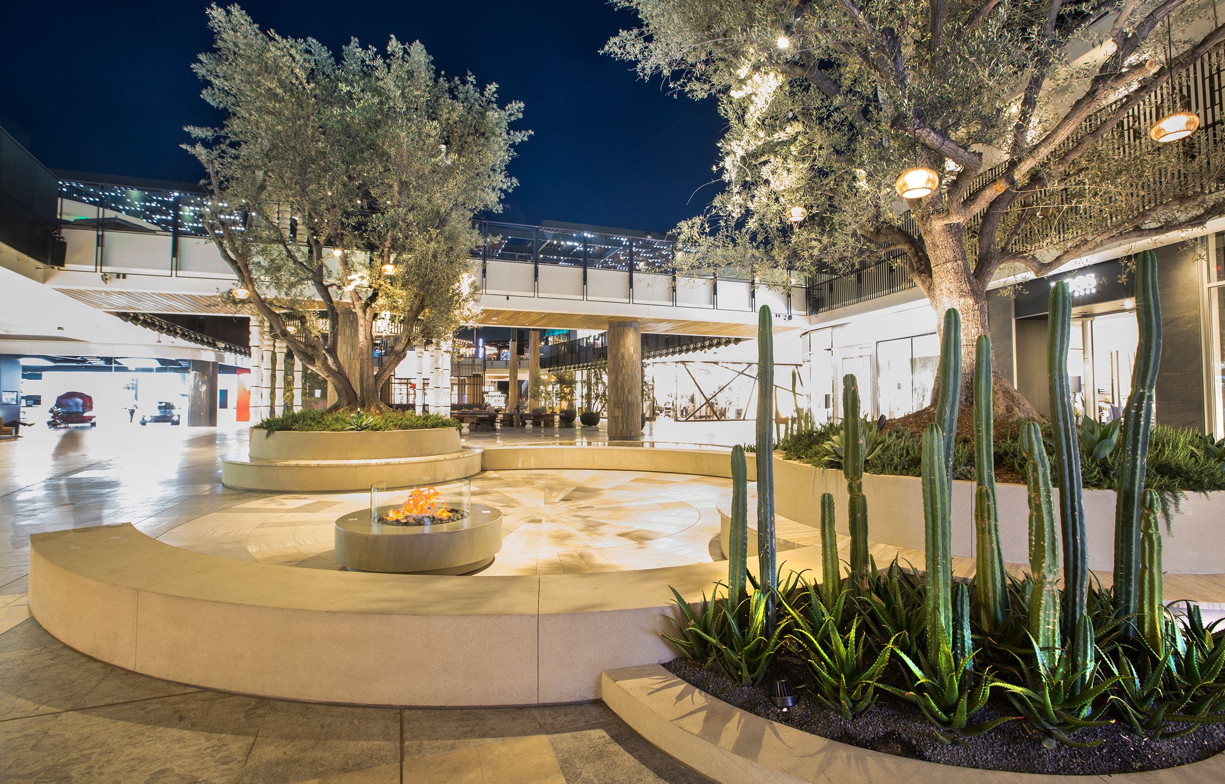 Century City - The Oasis